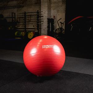 Купить Гимнастический мяч Yousteel Hard 55см в Миньяре 