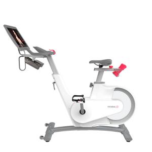 Купить Велотренажер Yesoul BV1-W PLUS в Миньяре 